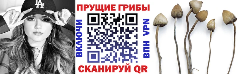 Псилоцибиновые грибы ЛСД  купить   Пущино 